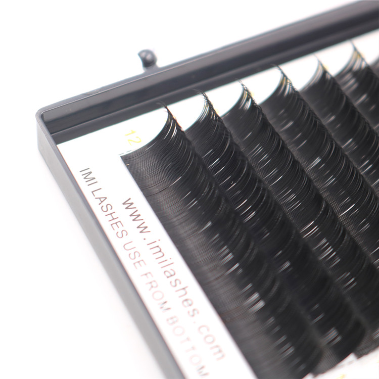 Realistic false eyelashes and real mink lash extensions-D